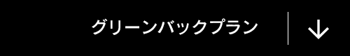 グリーンバックプラン